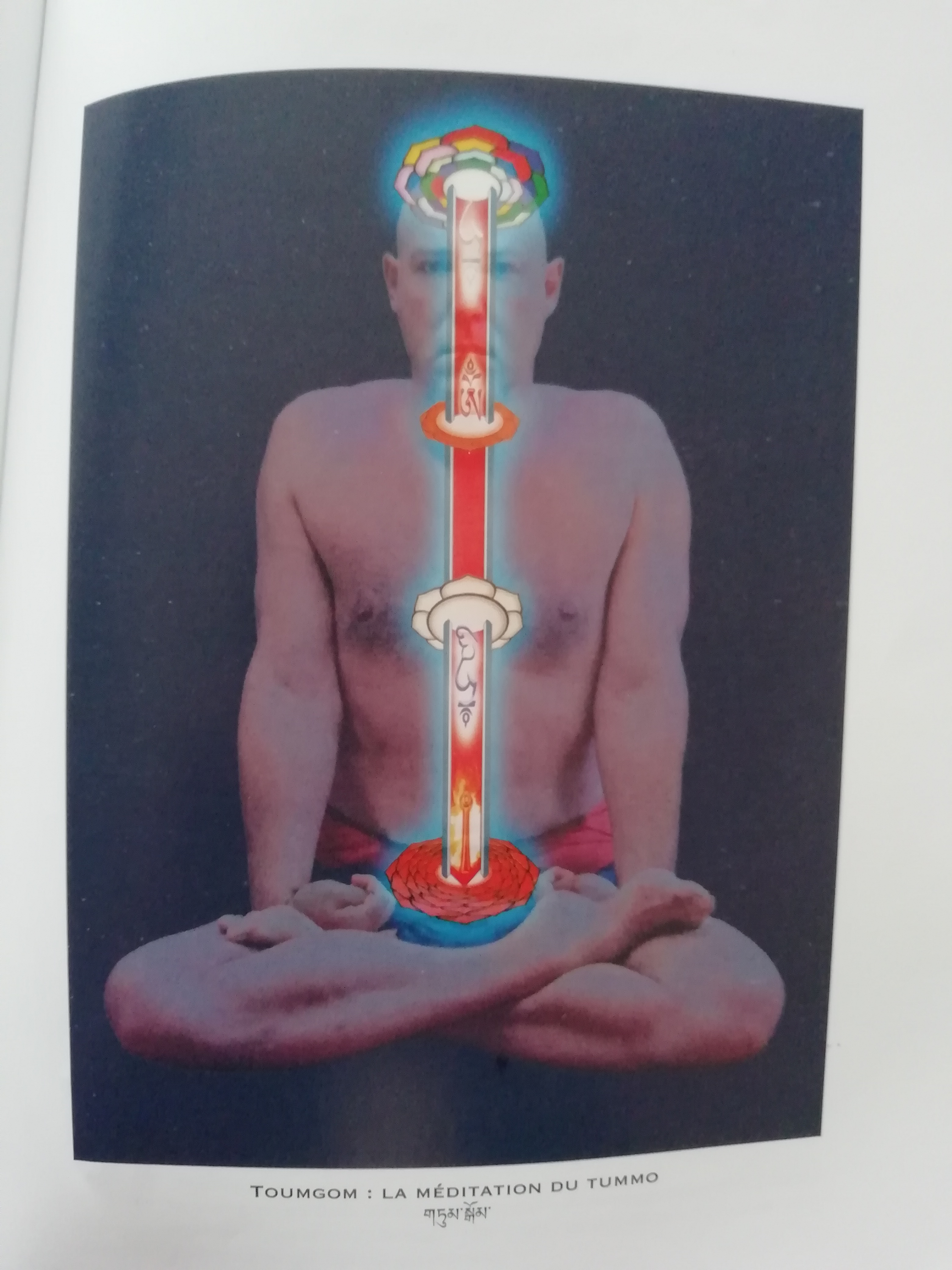 Article pour la revue Infos Yoga sur les six Yogas de Naropa
